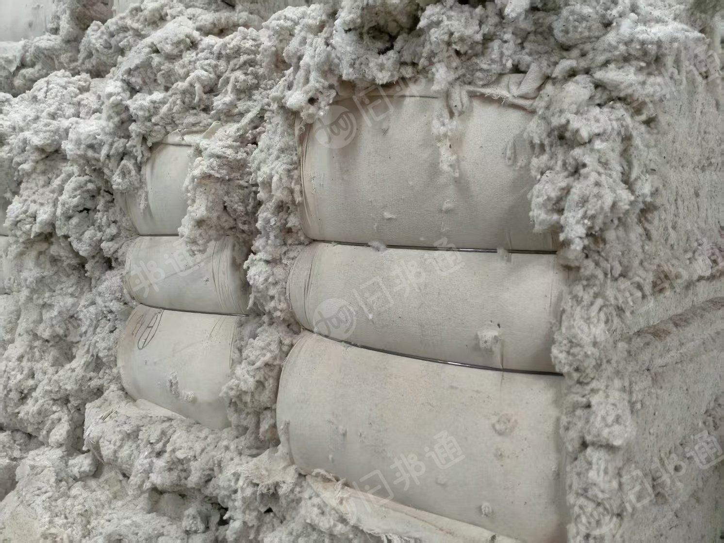 长期大量出售纯棉32车肚和40下脚车肚，现货700吨，厂在河南安阳