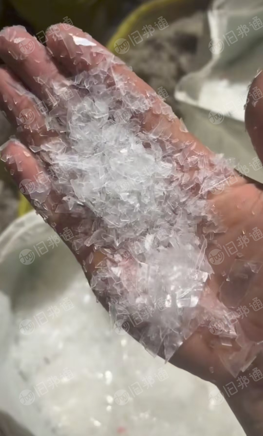 出售透明PP餐盒破碎料，冷洗的，月供200吨