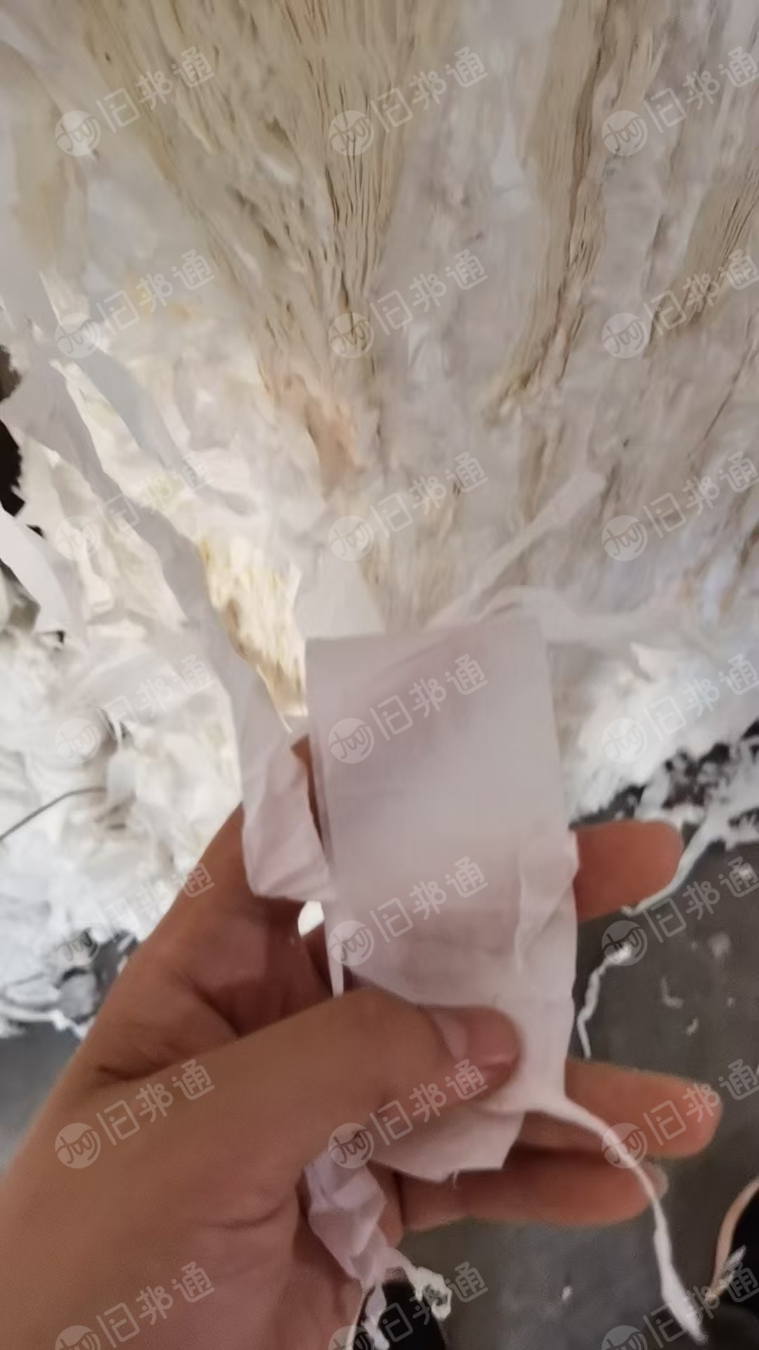 出售白色卫生纸切边料