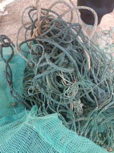 长期出售绑海蛎的绳子 ，废旧绳子，绳子