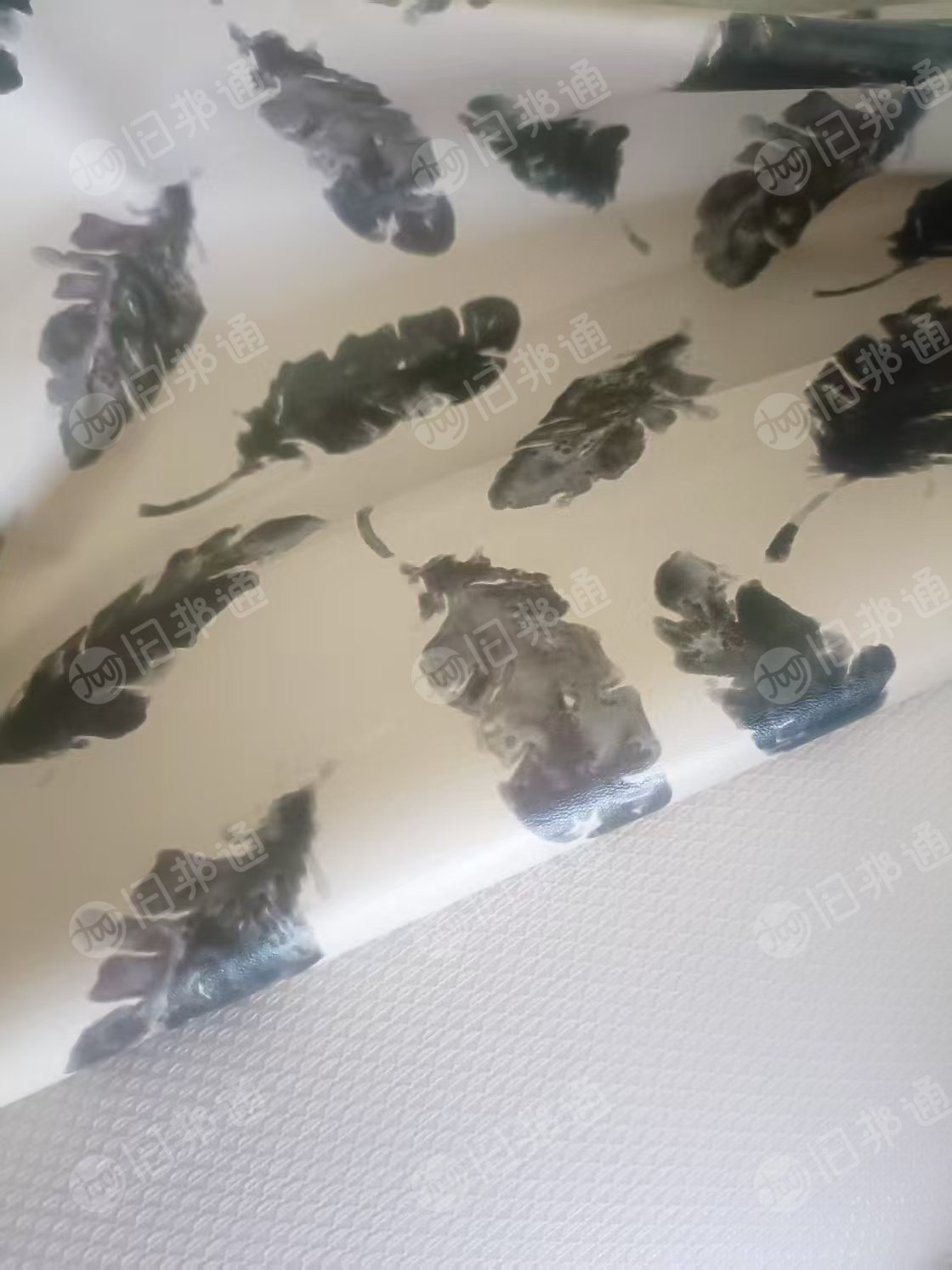 长期出售印花皮革,一等品,货在江苏无锡