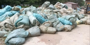 出售PE大棚膜废料