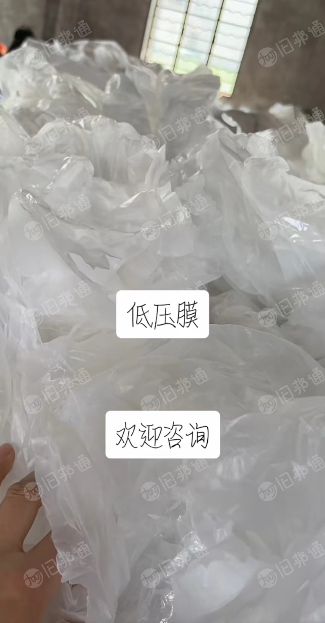长期出售干造低压膜，无标签