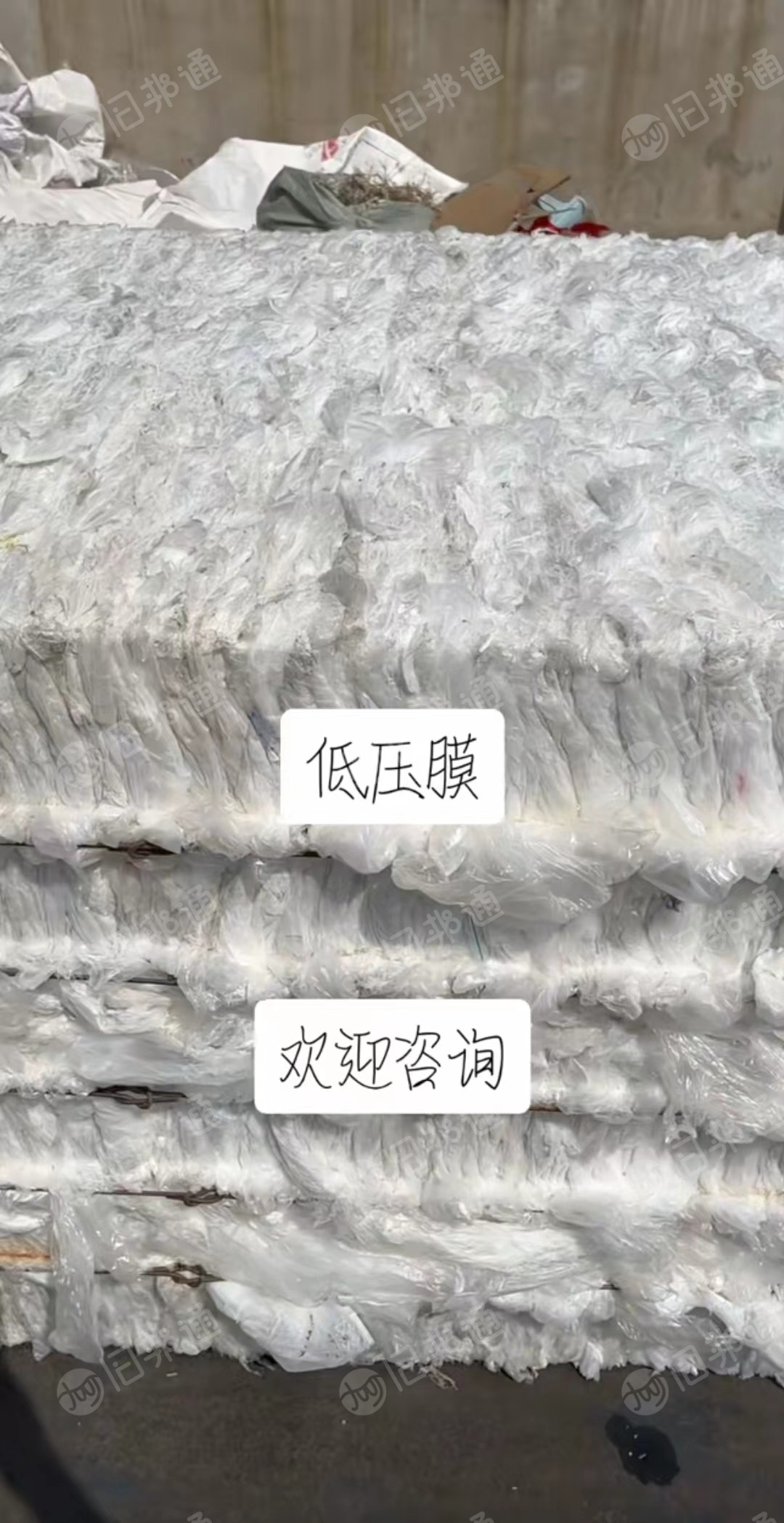 长期出售干造低压膜，无标签