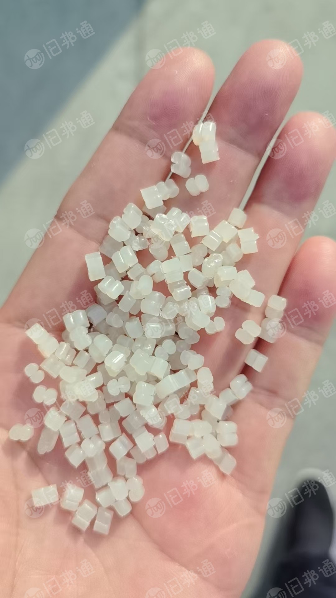 长期出售PP餐盒颗粒，过100目