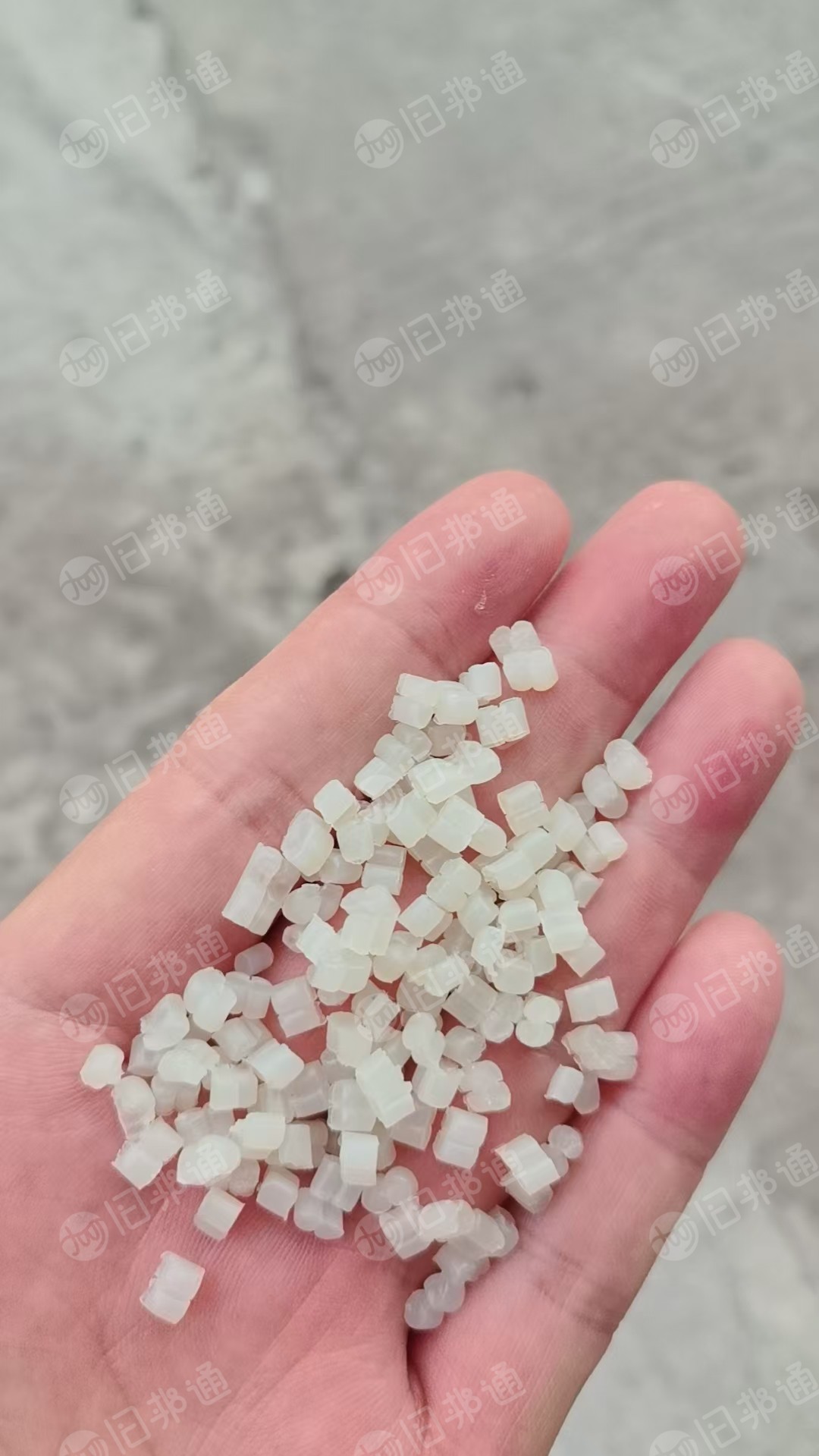 长期出售PP餐盒颗粒，过100目