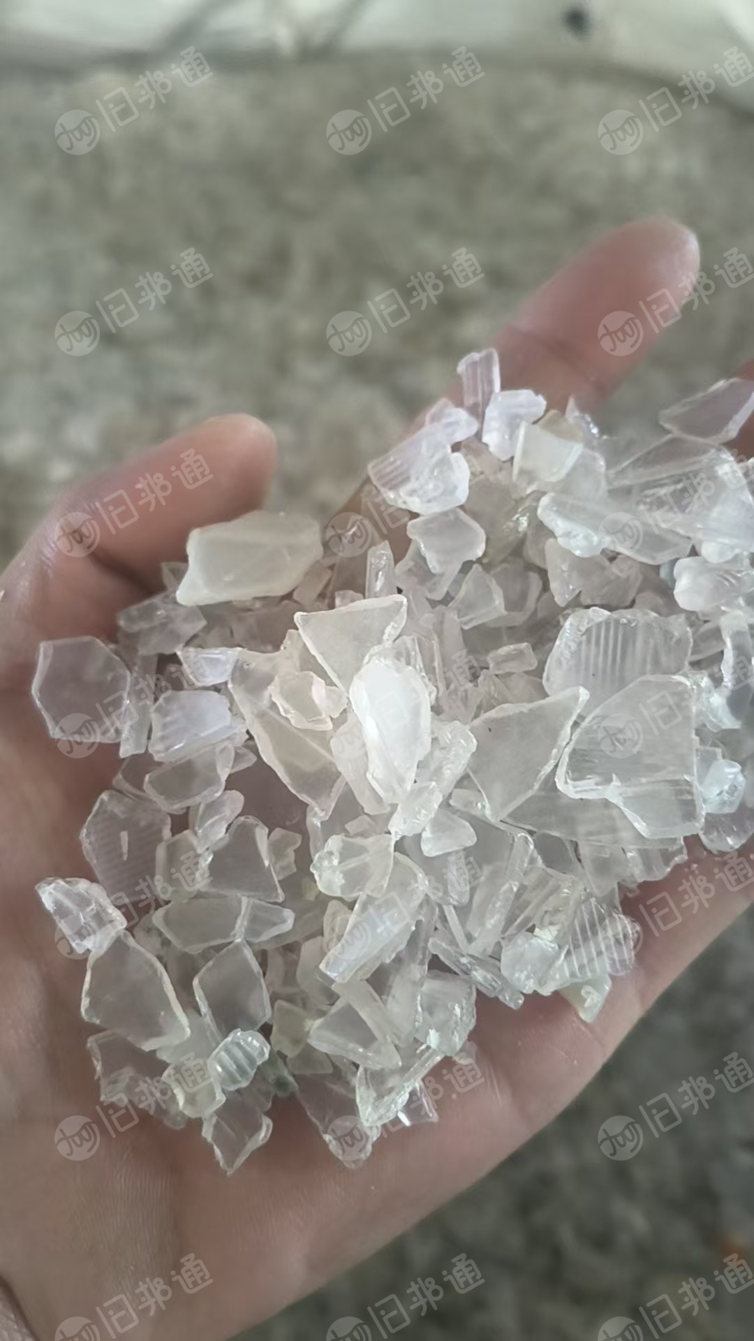 长期大量出售透明PC破碎料