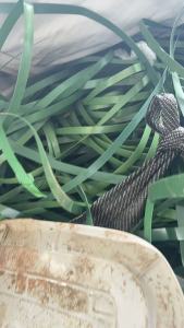 出售pet打包带，聚酯打包带，月供10吨