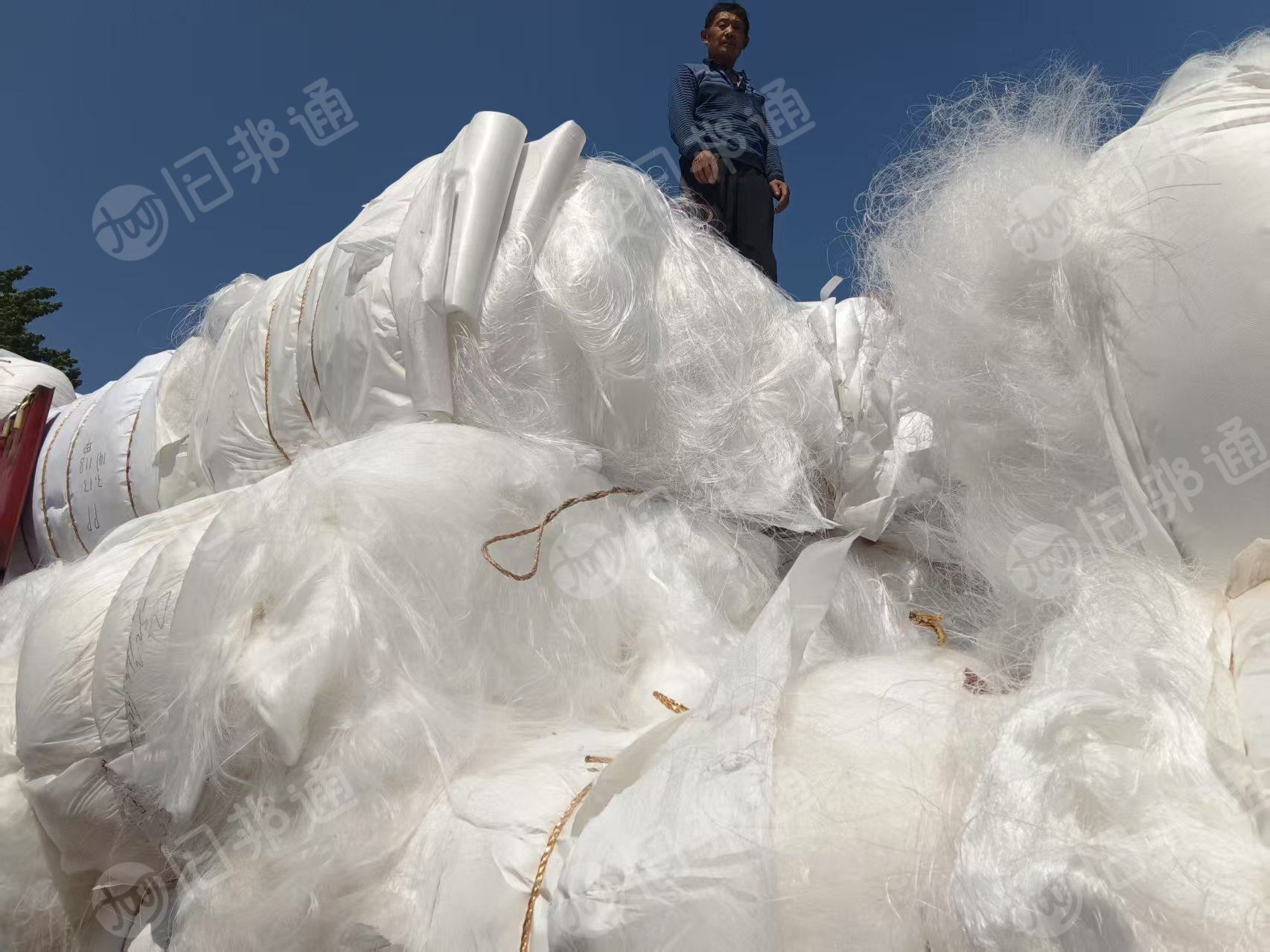 长期出售白色丙纶废丝,丙纶丝,PP废丝,月供20吨,货在山东济南