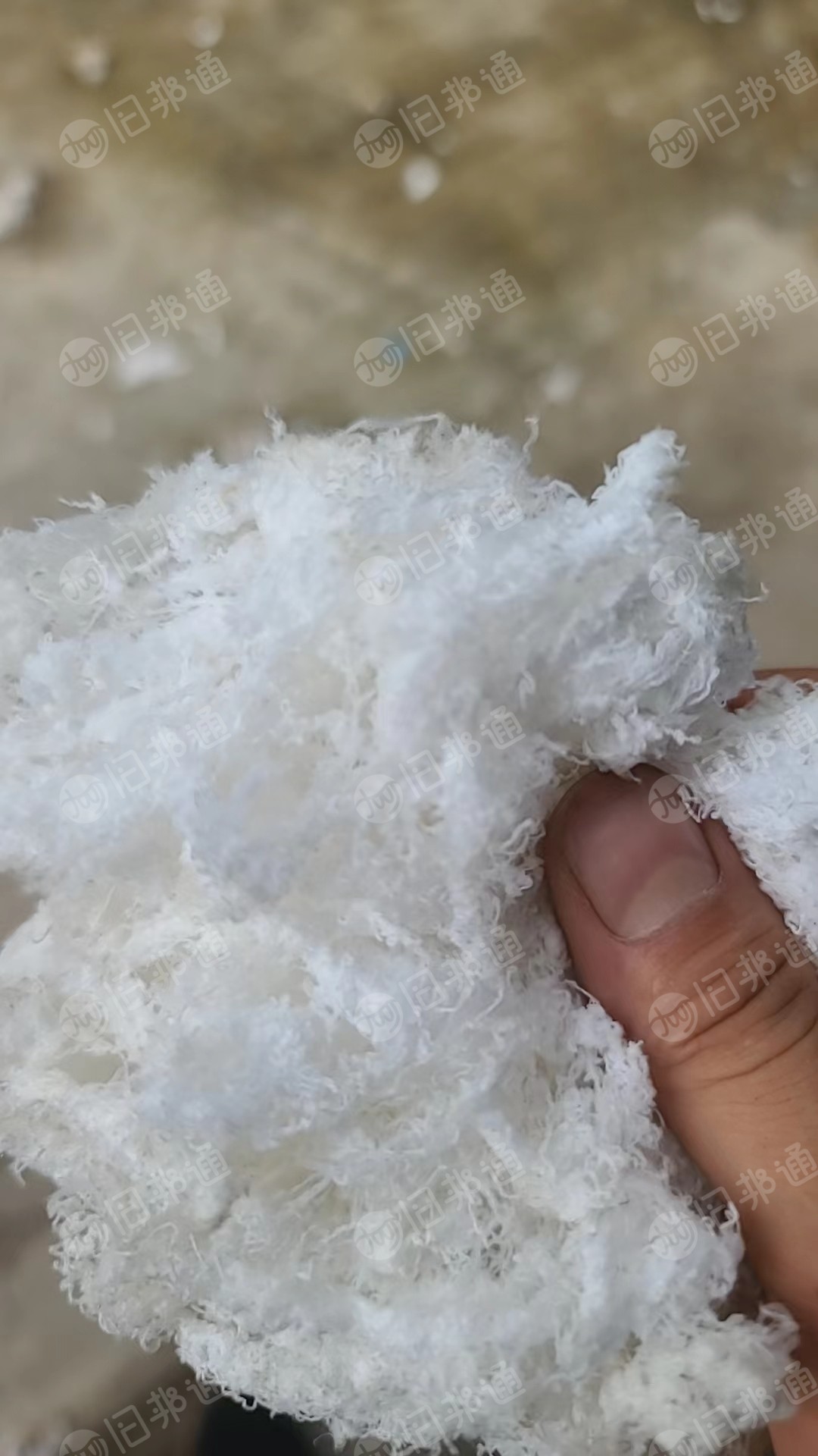 长期出售脱过水的氨纶水丝,白色氨纶水丝,100d,含水20%左右,月供60-70吨,货在江西九江