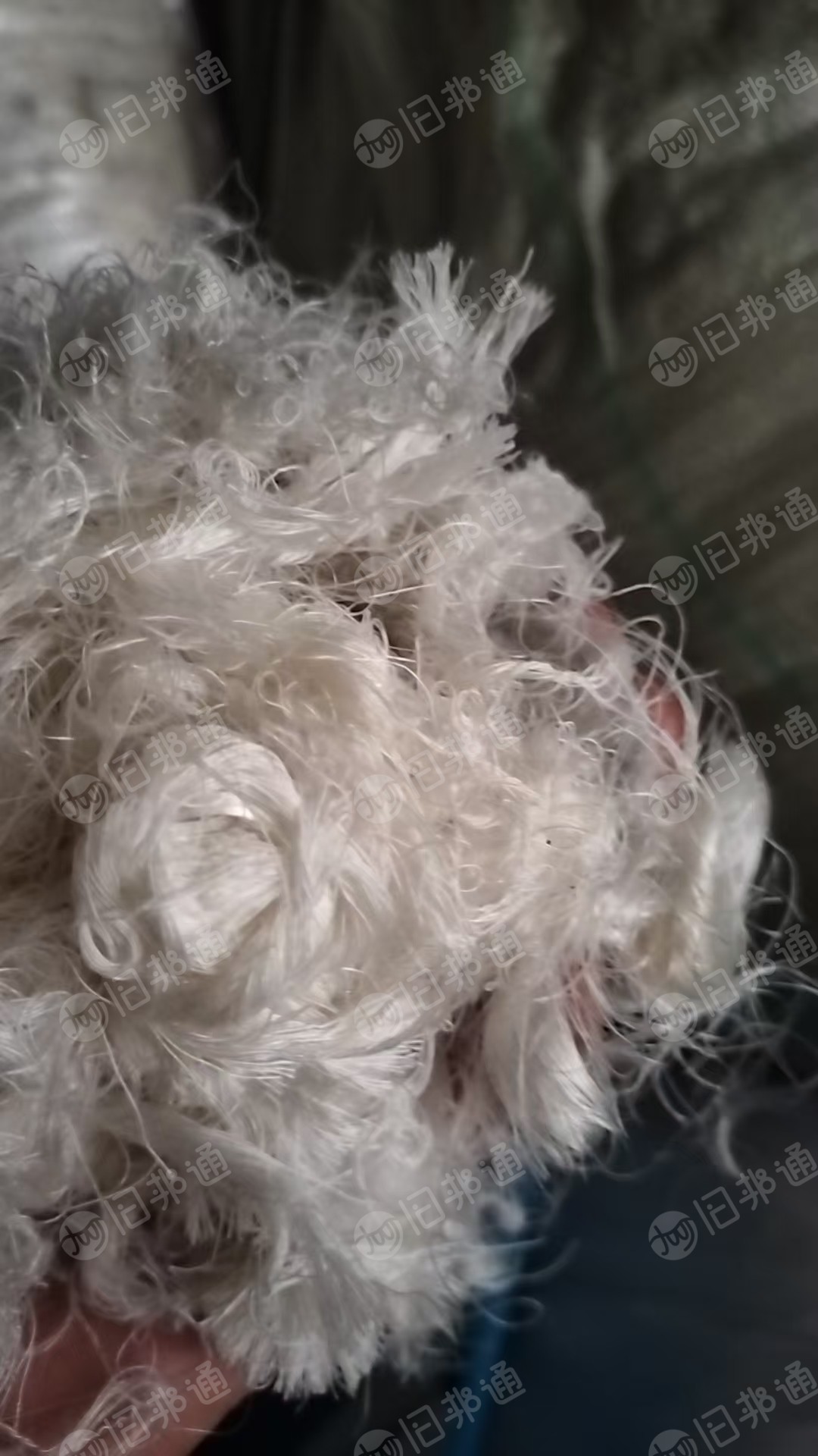 长期出售锦纶废丝，尼龙废丝，双六有光丝，货在江苏张家港