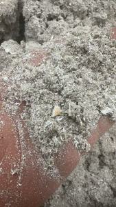 出售PVC塑钢渣子,现货够四米二一车,长期有货