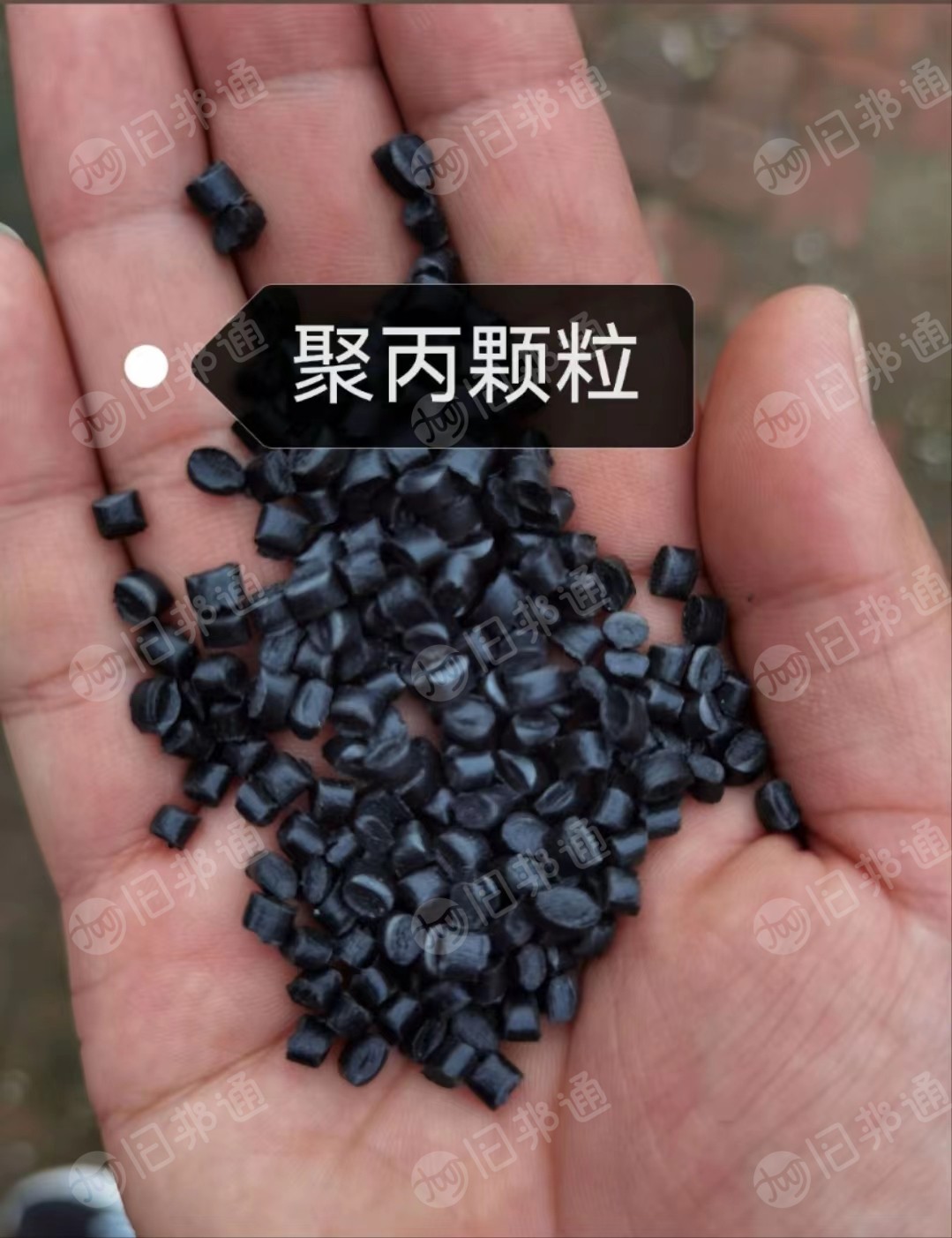 长期出售黑色pp颗粒