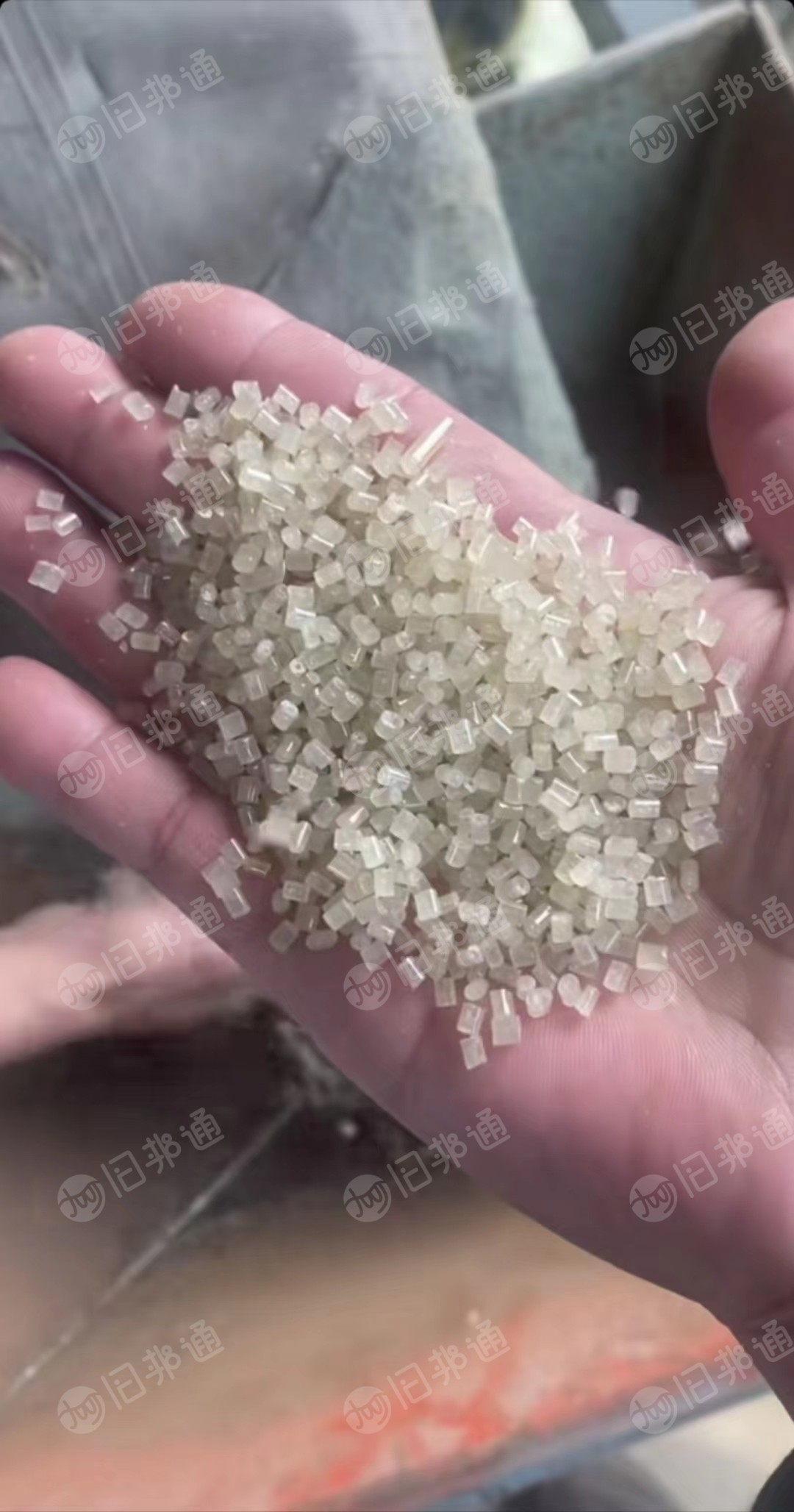 长期出售eps颗粒,过60目,中白和茶透