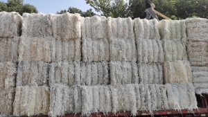 长期出售书本切边，装订纸边，三面刀