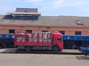 长期出售水洗低压膜，黑色，现货够车