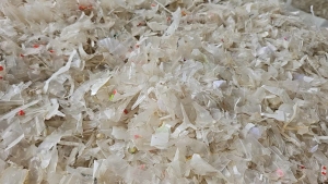 出售水粉PP餐盒破碎料,过漂甩干,现货40吨