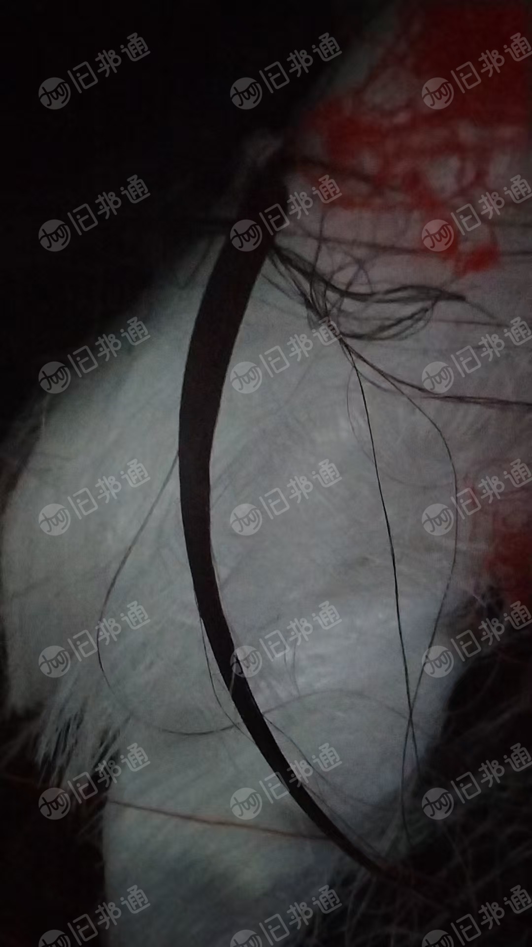 出售涤纶长丝，POY,弹力丝，有多种颜色，货在浙江绍兴