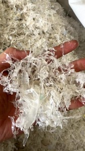 长期出售pet餐盒破碎料，盐漂，过色选，含少量杂质