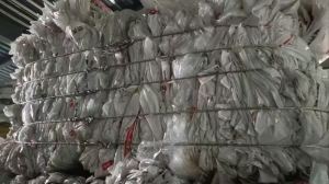 长期出售干造乳白袋