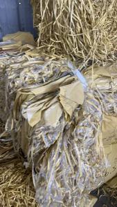 长期出售黄色pe淋膜纸边条