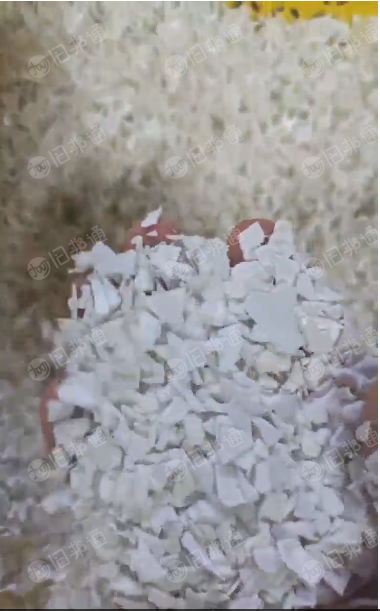 长期出售大白破碎料,纯奶白壶破碎料,过了材质色选的,无铝箔纸标签纸杂质等,可直接做产品