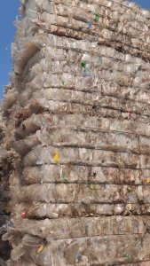 出售PP餐盒压块，现货30吨左右