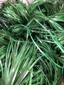 回收pet打包带毛料