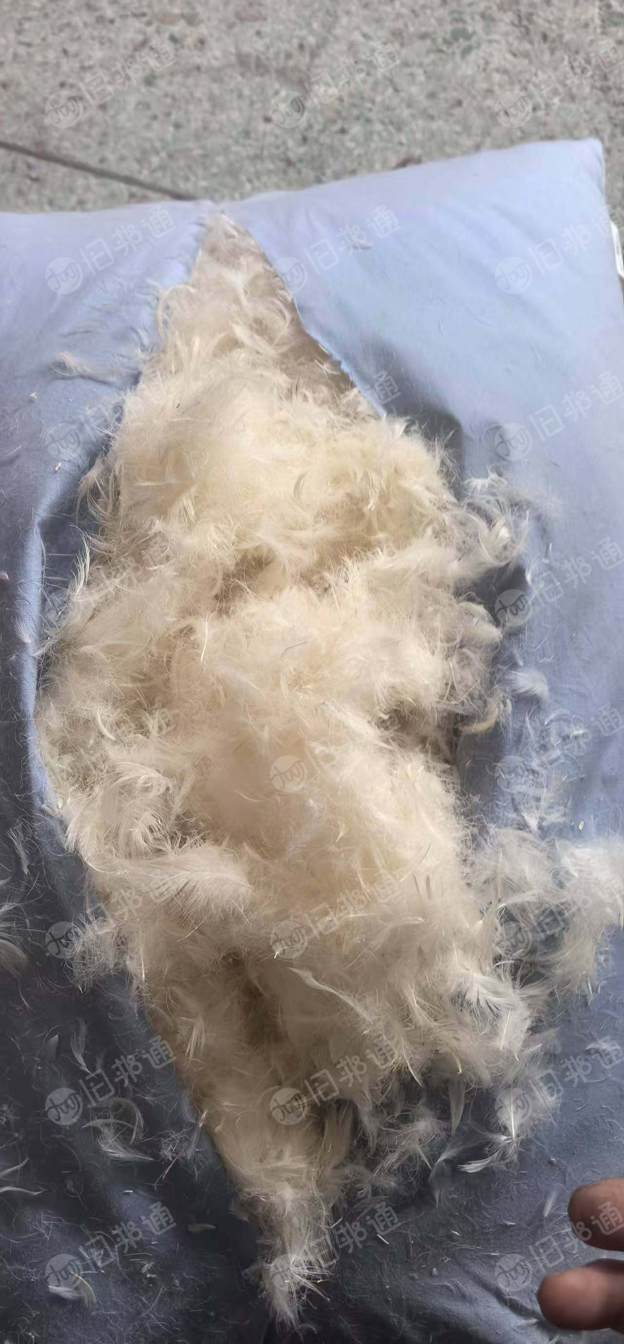 出售枕芯被子鸭绒，现货8-10吨左右，厂在广东深圳
