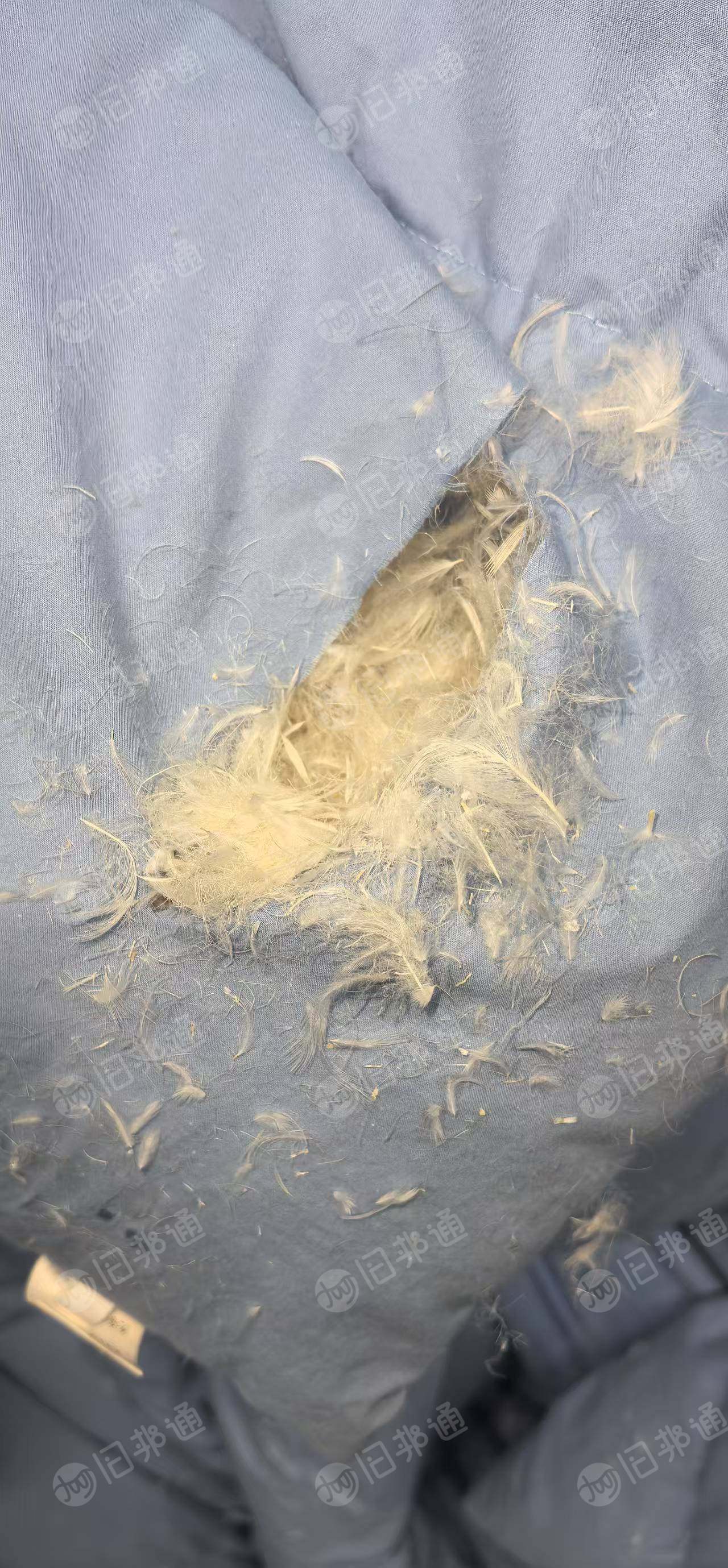 出售枕芯被子鸭绒，现货8-10吨左右，厂在广东深圳