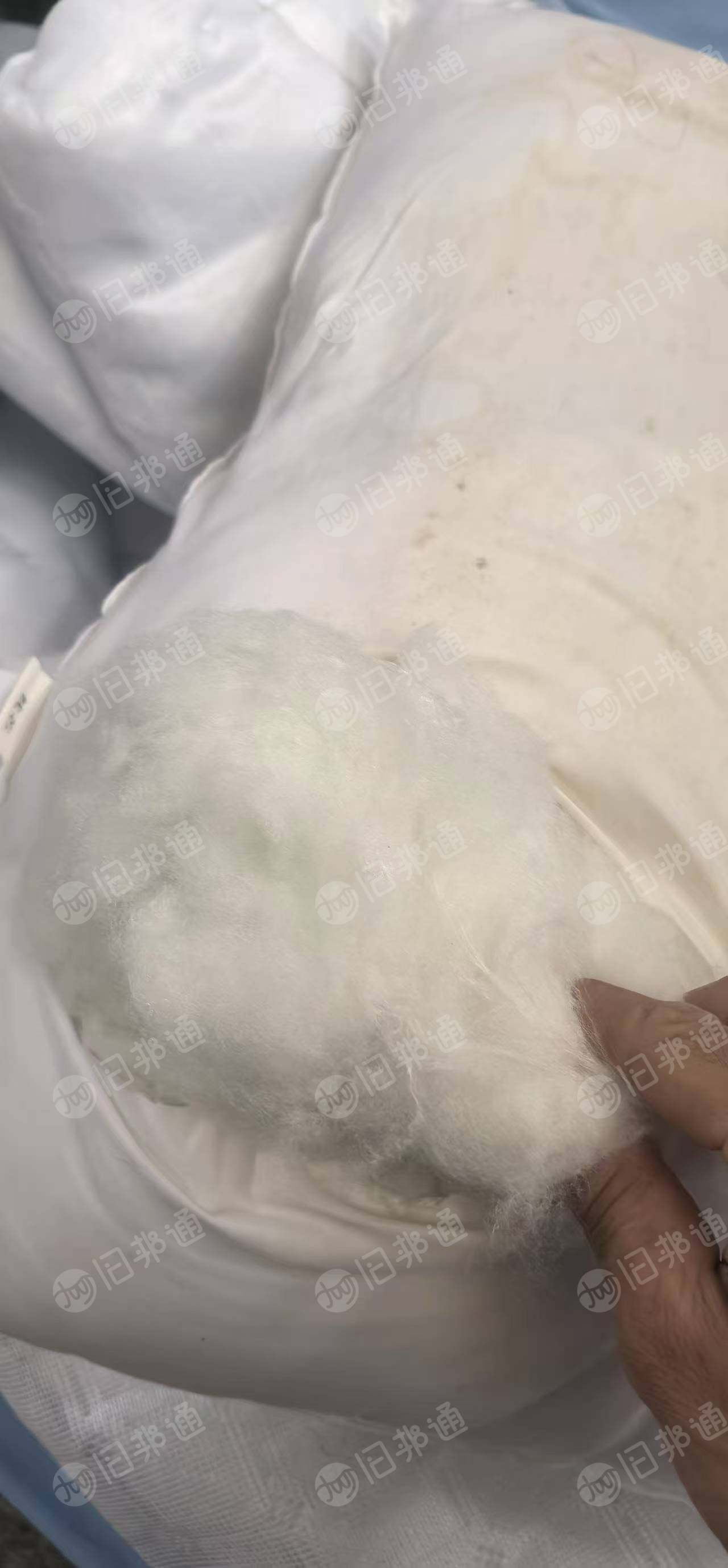 长期出售丝绵被,内胆布没有拆下来的,现货有50吨,厂在广东深圳