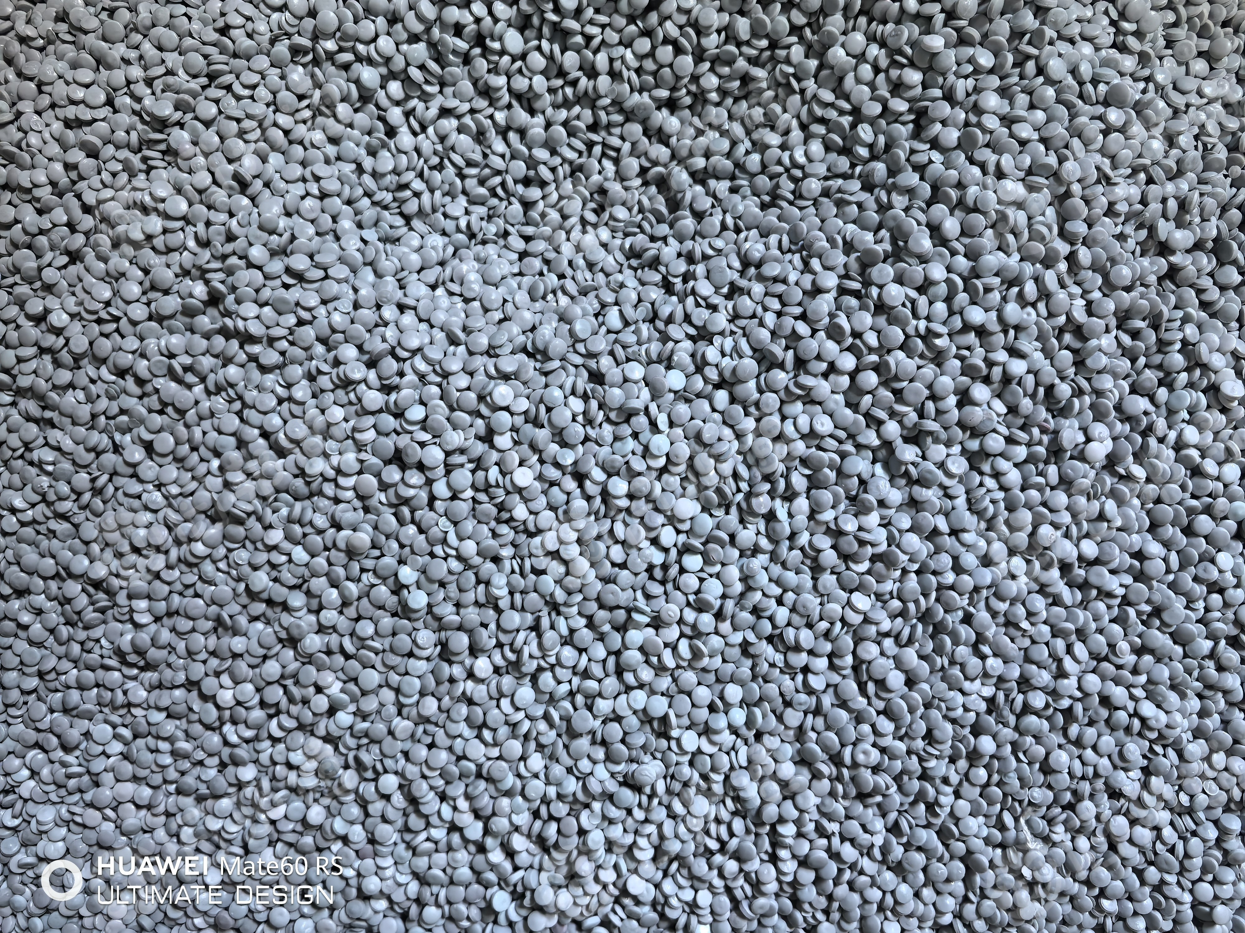 长期出售干造乳白袋颗粒，过150目的