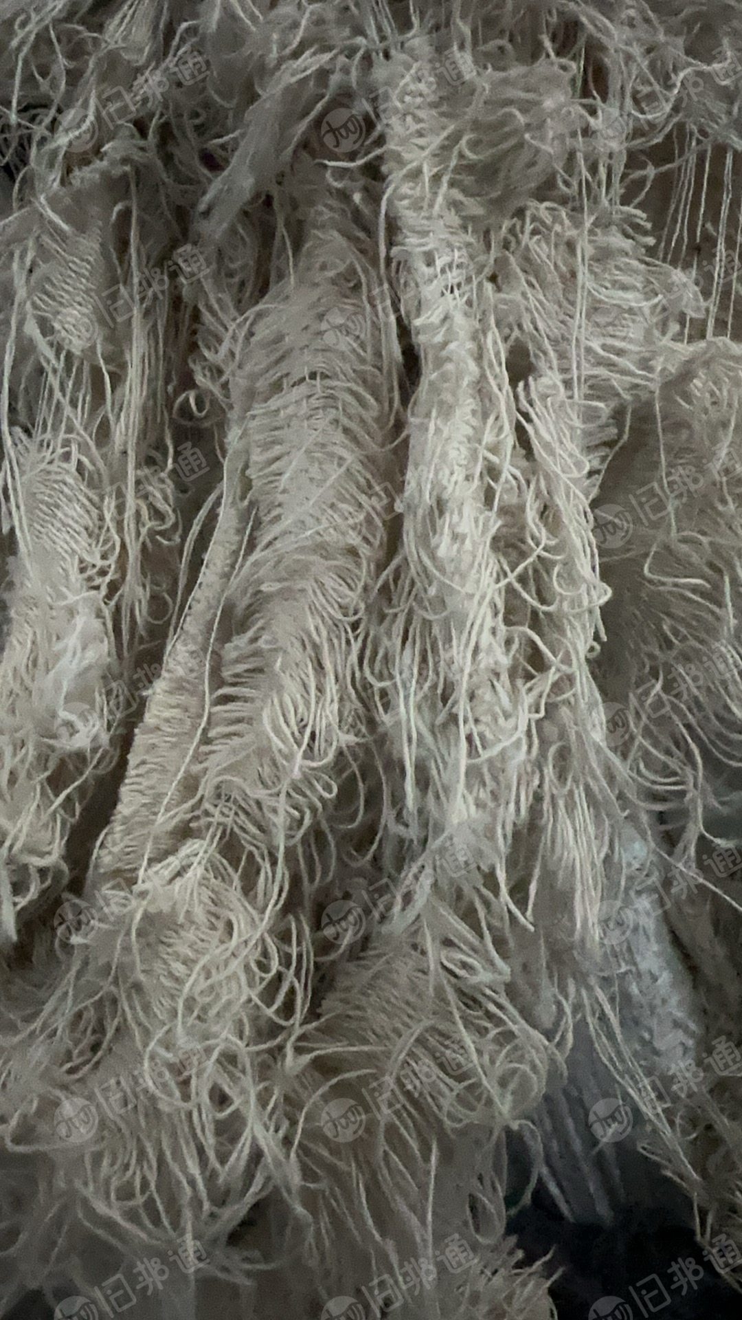 出售牛仔白涤棉布边,涤棉布边
