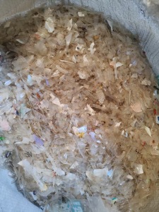 出售PP干粉饭盒破碎料