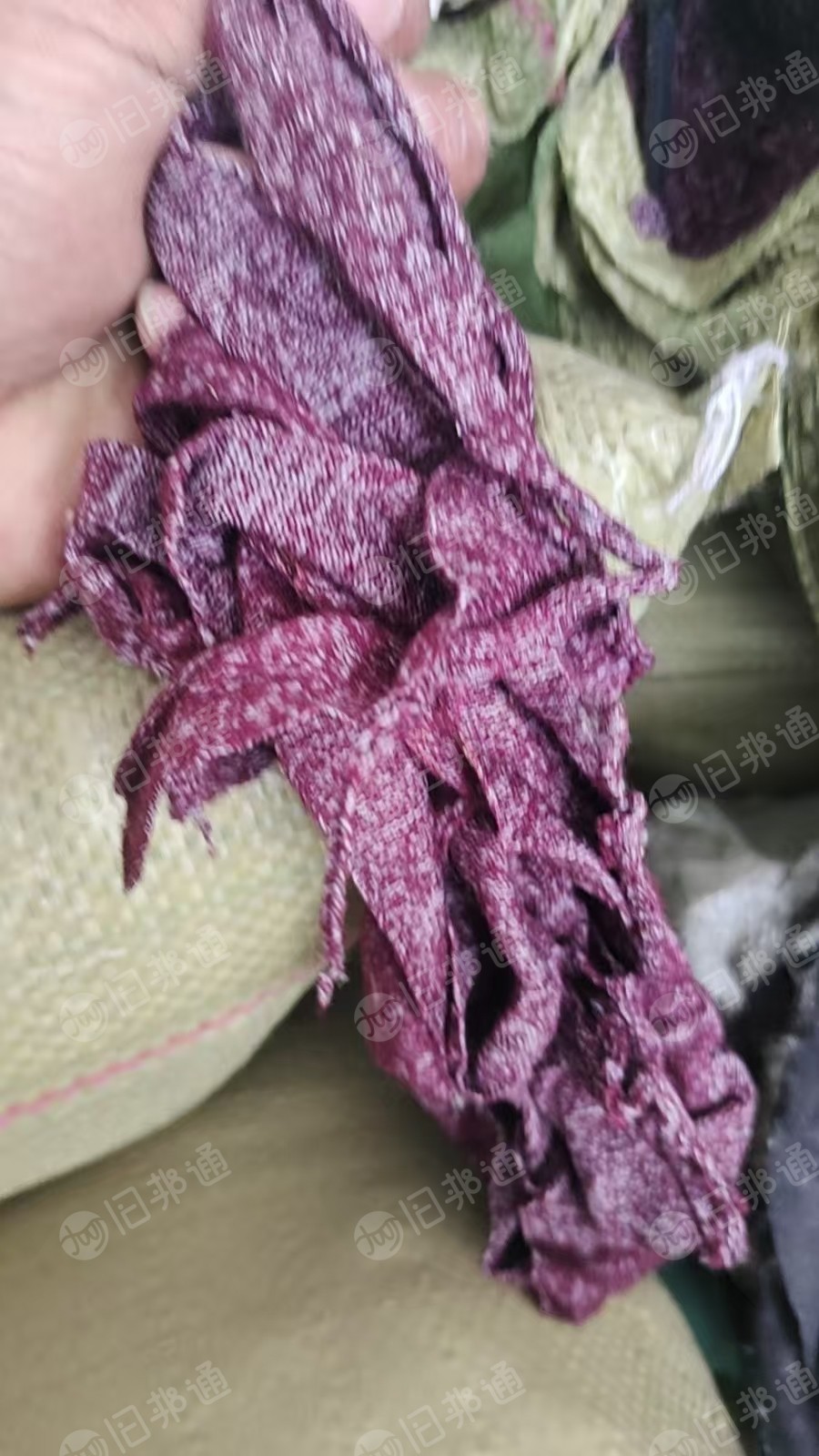 长期出售白色的涤棉废布,棉布边角料,85棉15涤,月供20吨左右