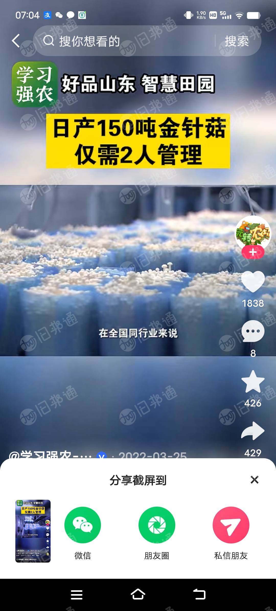 出售pe蘑菇袋，比较厚类似片材