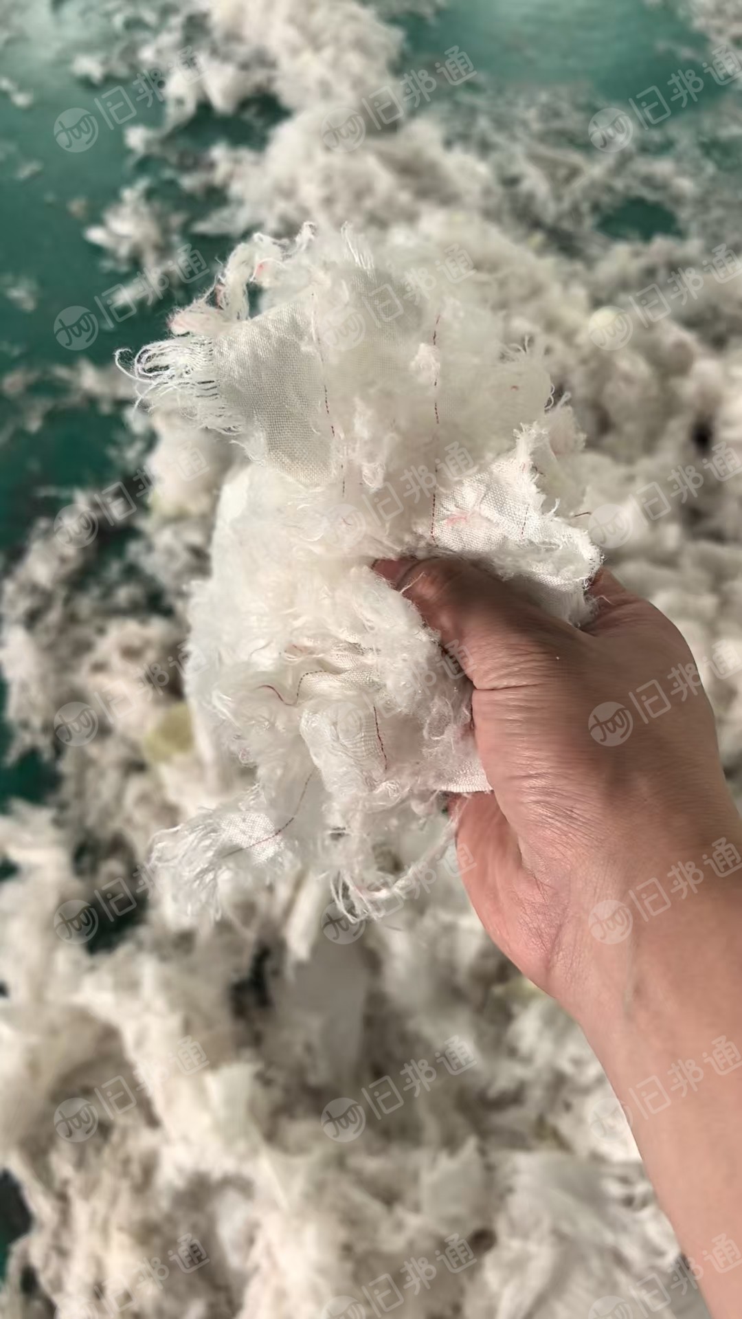 出售尼龙脱模布破碎料，单六，月供300吨