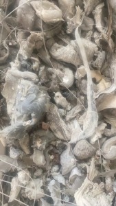 出售珍珠棉机头料,长期供应