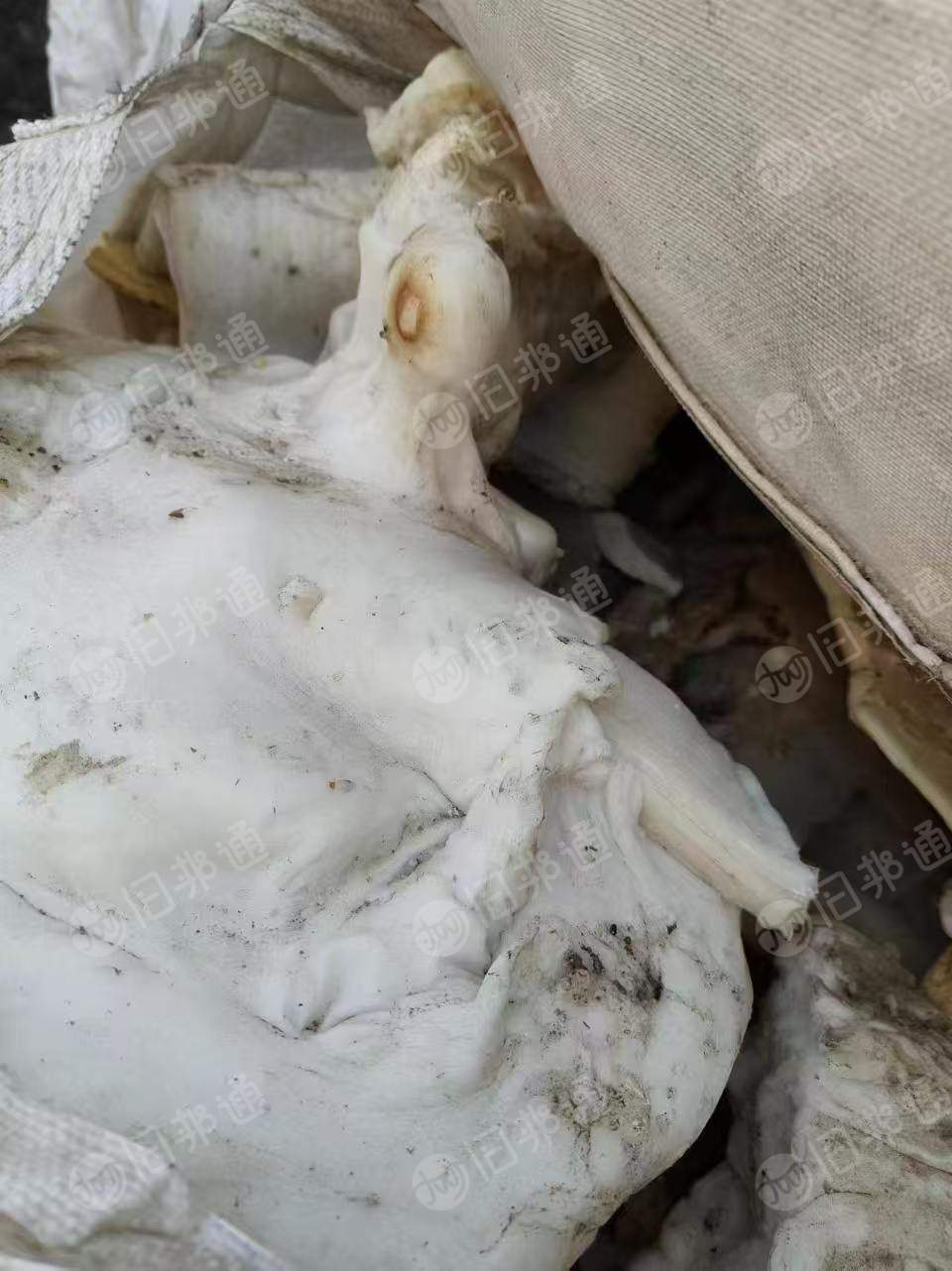 长期出售TPU机头料，现货26吨左右