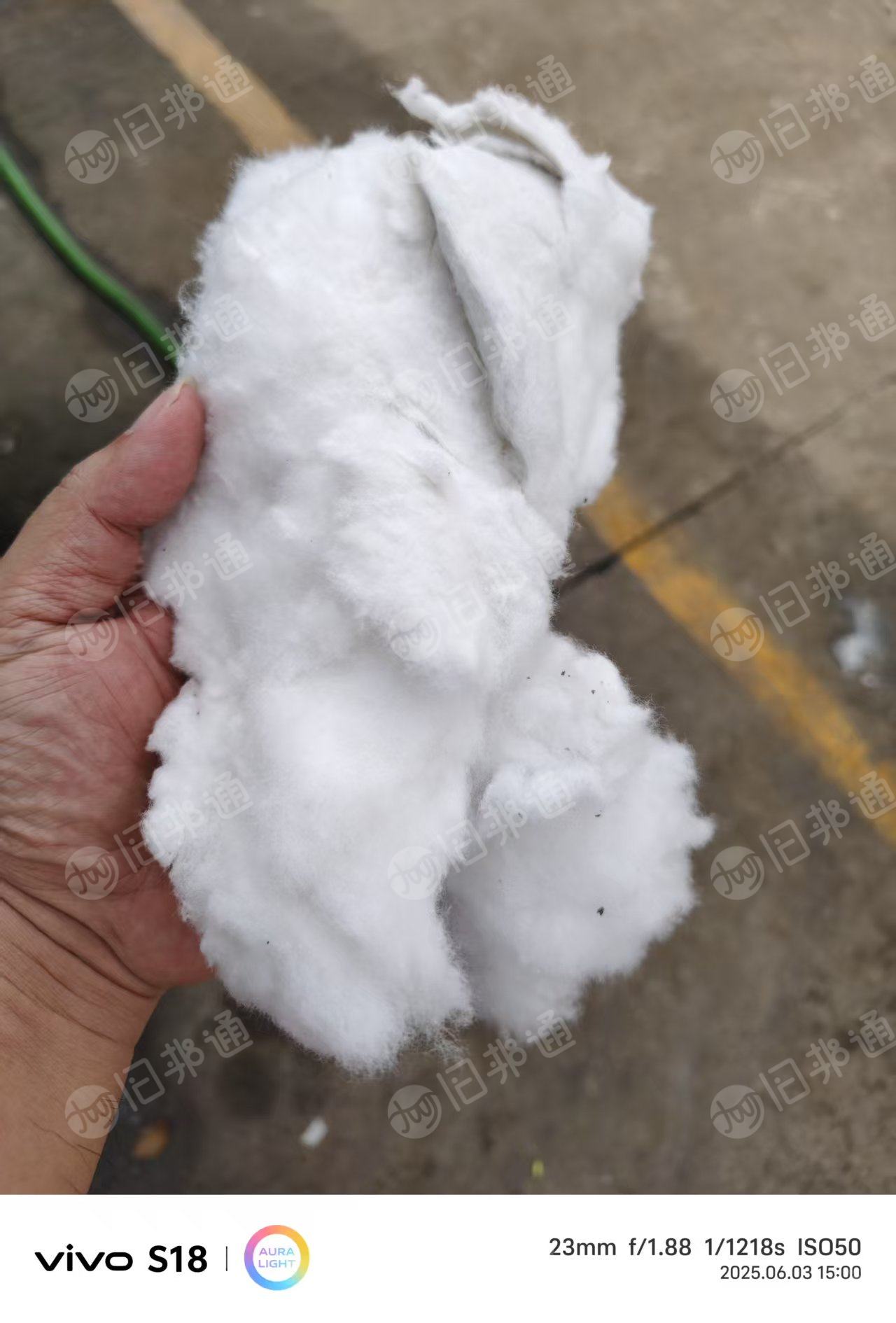 出售纯棉毛毛料，磨毛料，抓毛机抓出来的，货在广东江门