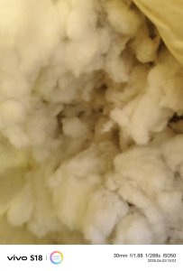 出售纯棉毛毛料，磨毛料，抓毛机抓出来的，货在广东江门