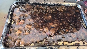 长期出售涤锦泡料，泡料，货在河北保定