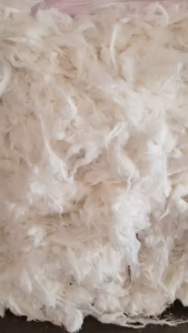 长期出售涤纶废料，涤纶边角料，现货三十吨左右