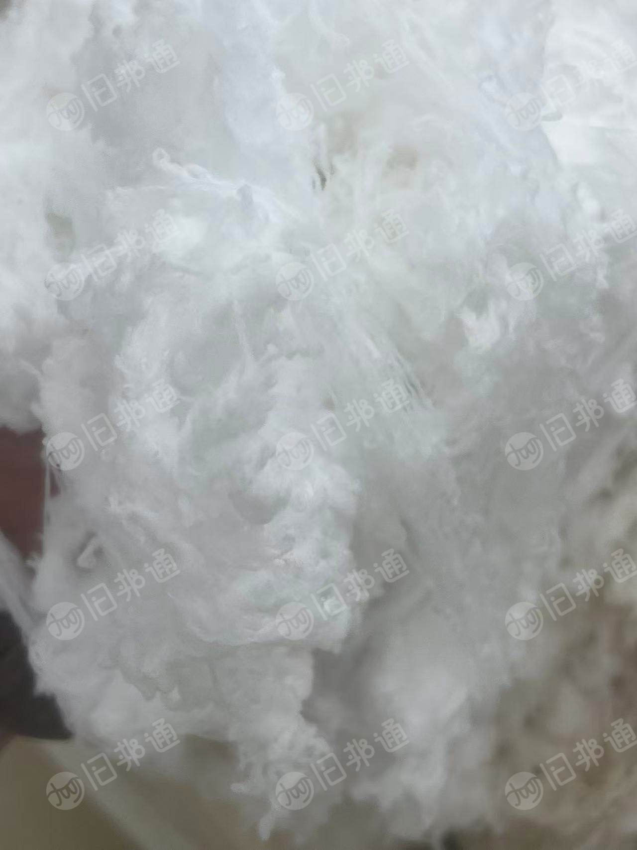 长期出售涤纶干丝 ，现货50吨左右，厂在新疆巴音