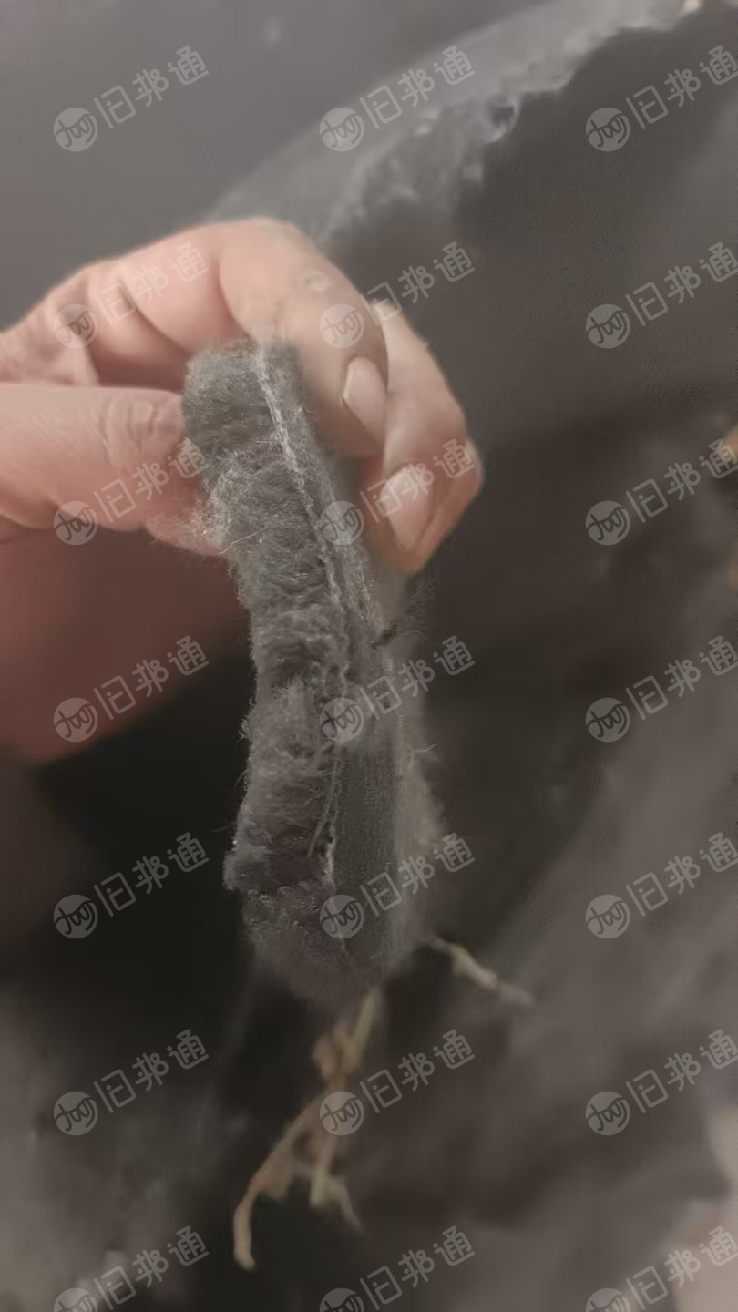 长期大量回收涤丙地毯料，含丙60以上，做防臭鞋垫用，厂在河北保定