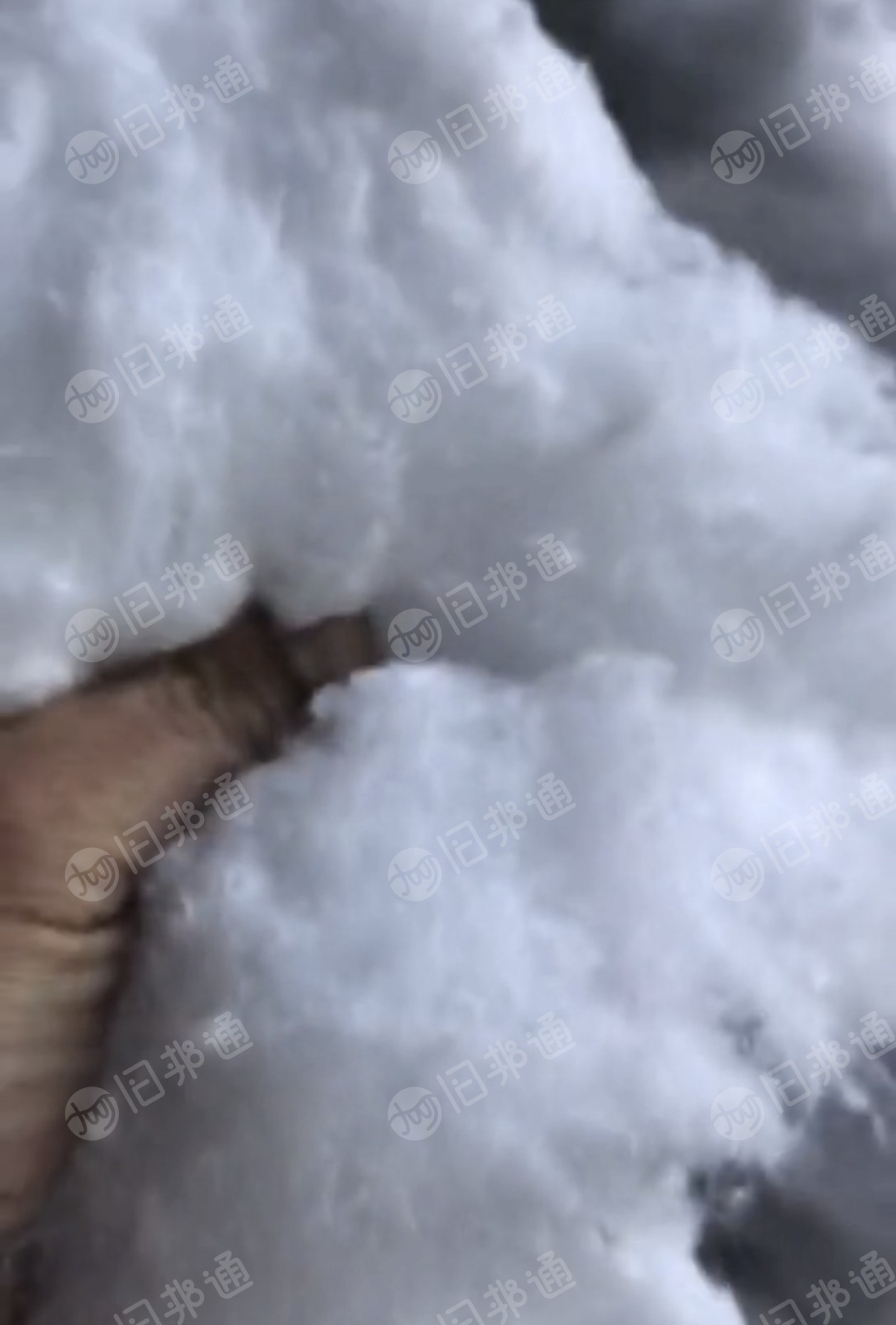 出售小白棉,鞋材废布开的再生棉,化纤棉,适用于土工布,床垫,棉被,沙发垫等,月供300吨