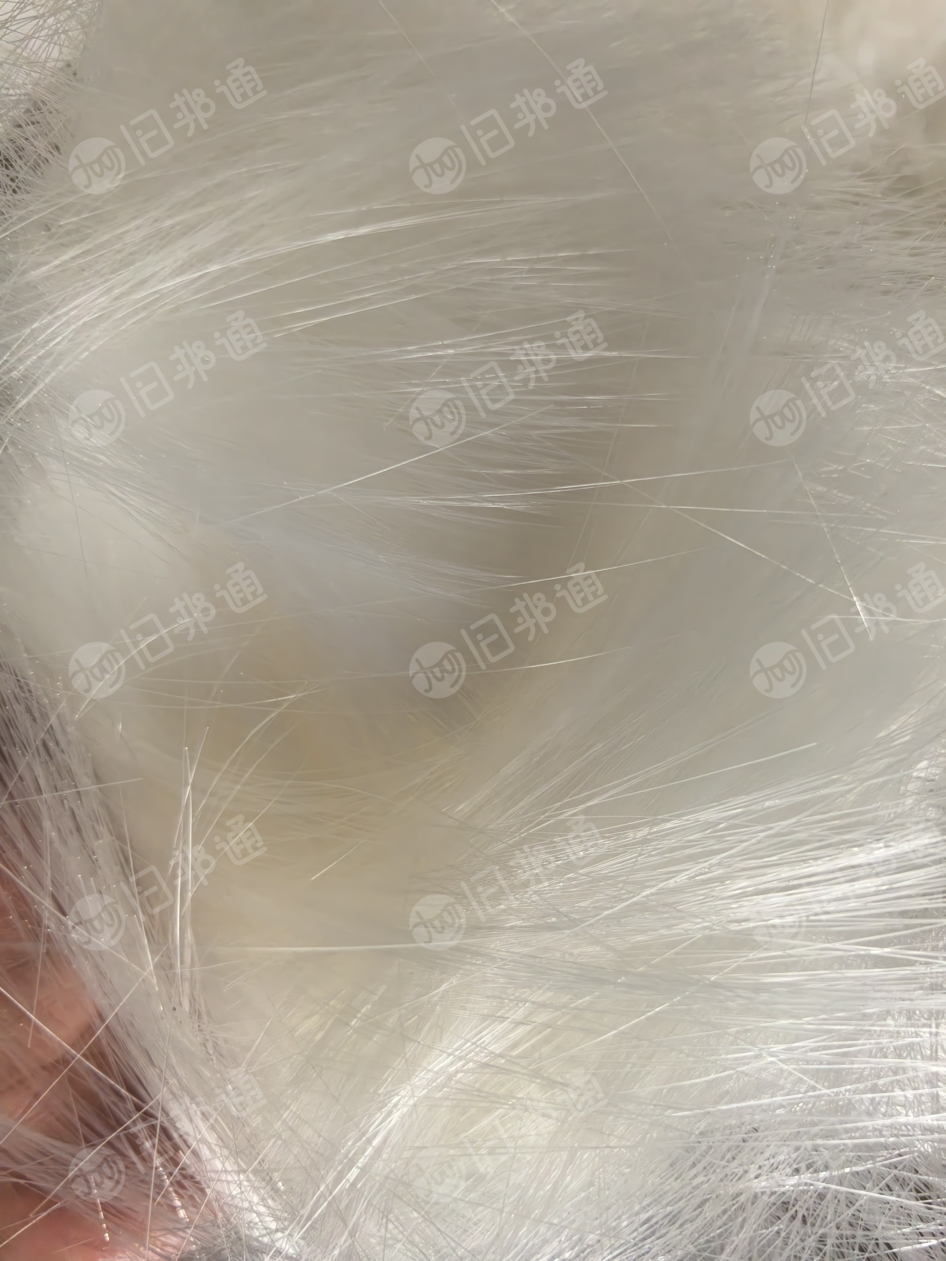 长期回收原色杂色，PBT丝