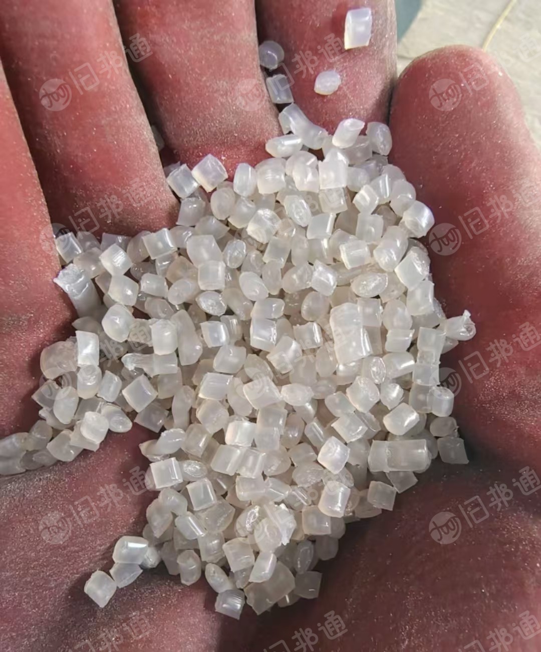 出售透明PP打包带颗粒