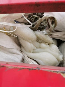 长期出售TPU块料,颗粒