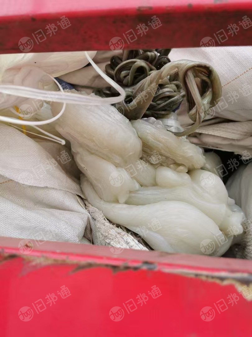 长期出售TPU块料，颗粒